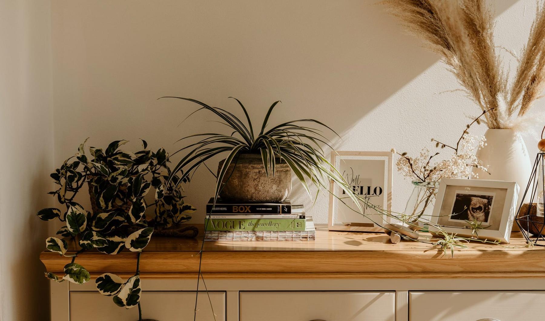 bureau top decorated with potted plants, books and framed pictures