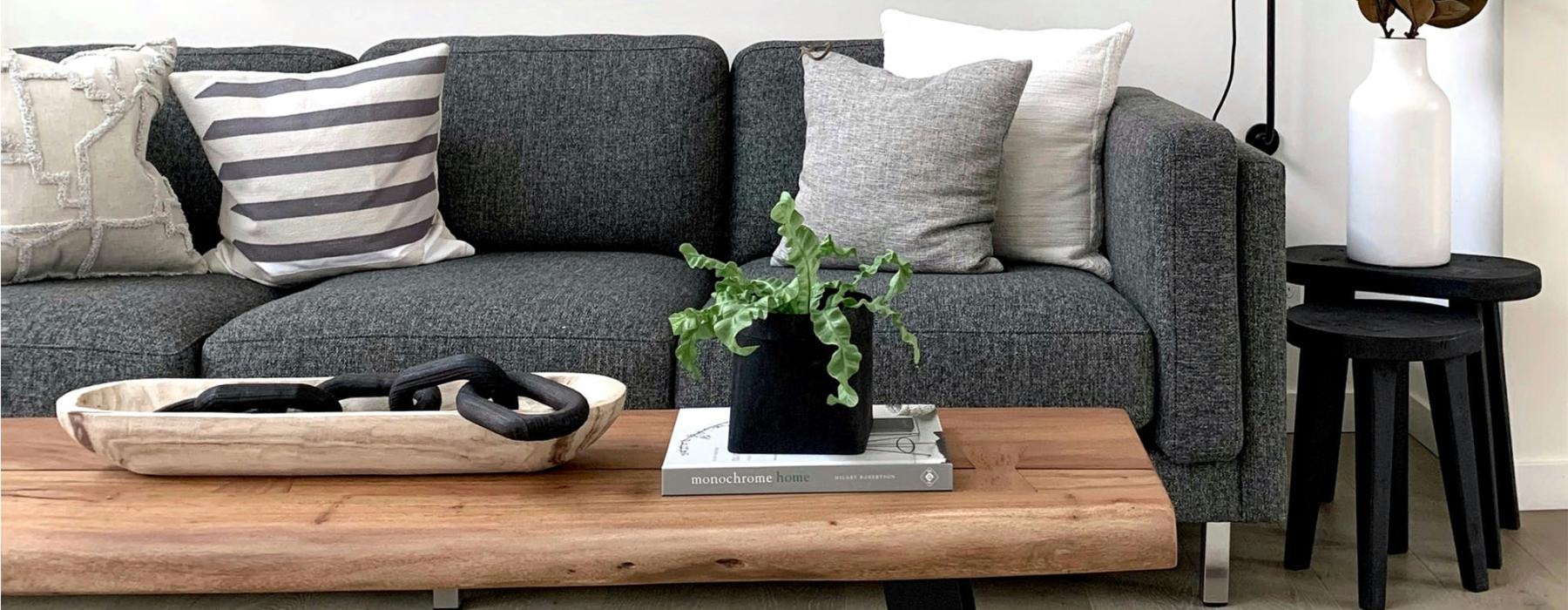 a couch with a coffee table with a plant and decor on it